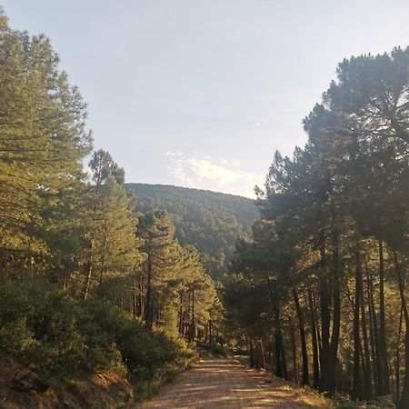 Bonita Casa En El Bosque - El Tiemblo Villa Kültér fotó