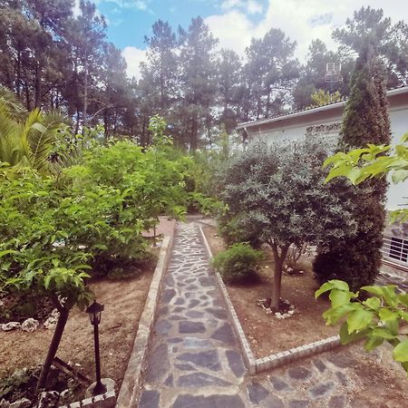 Bonita Casa En El Bosque - El Tiemblo Villa Kültér fotó