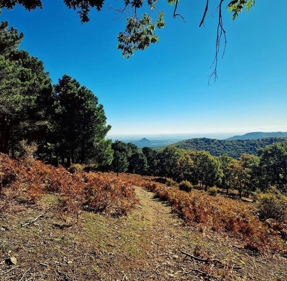 Bonita Casa En El Bosque - El Tiemblo Villa Kültér fotó