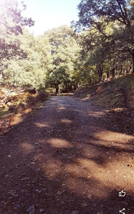 Bonita Casa En El Bosque - El Tiemblo Villa Kültér fotó