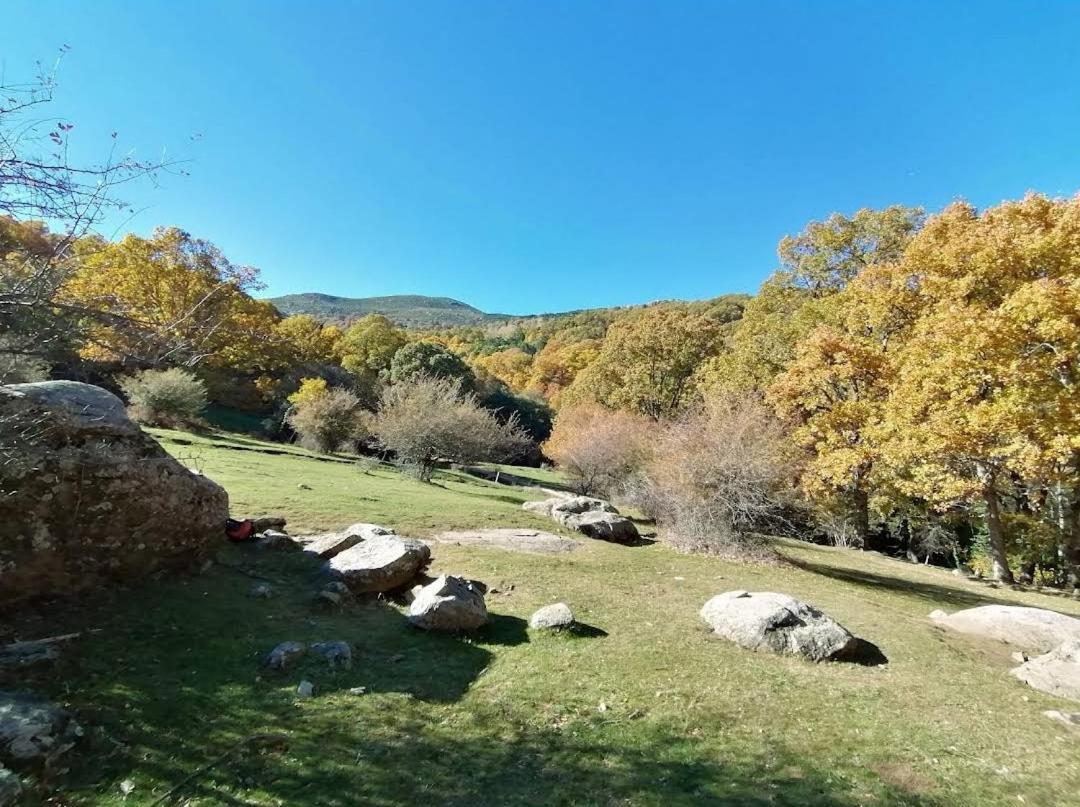 Bonita Casa En El Bosque - El Tiemblo Villa Kültér fotó