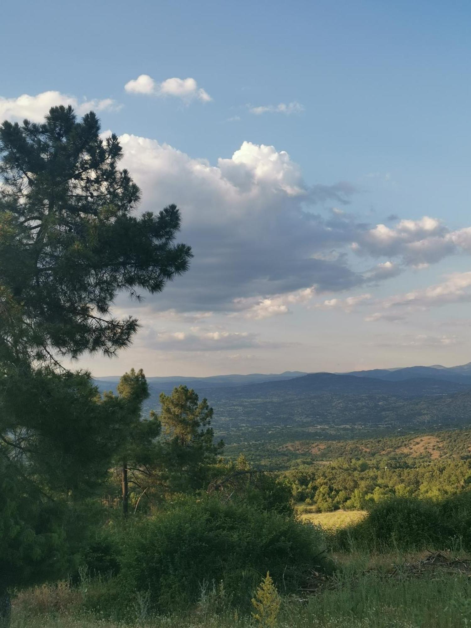 Bonita Casa En El Bosque - El Tiemblo Villa Kültér fotó