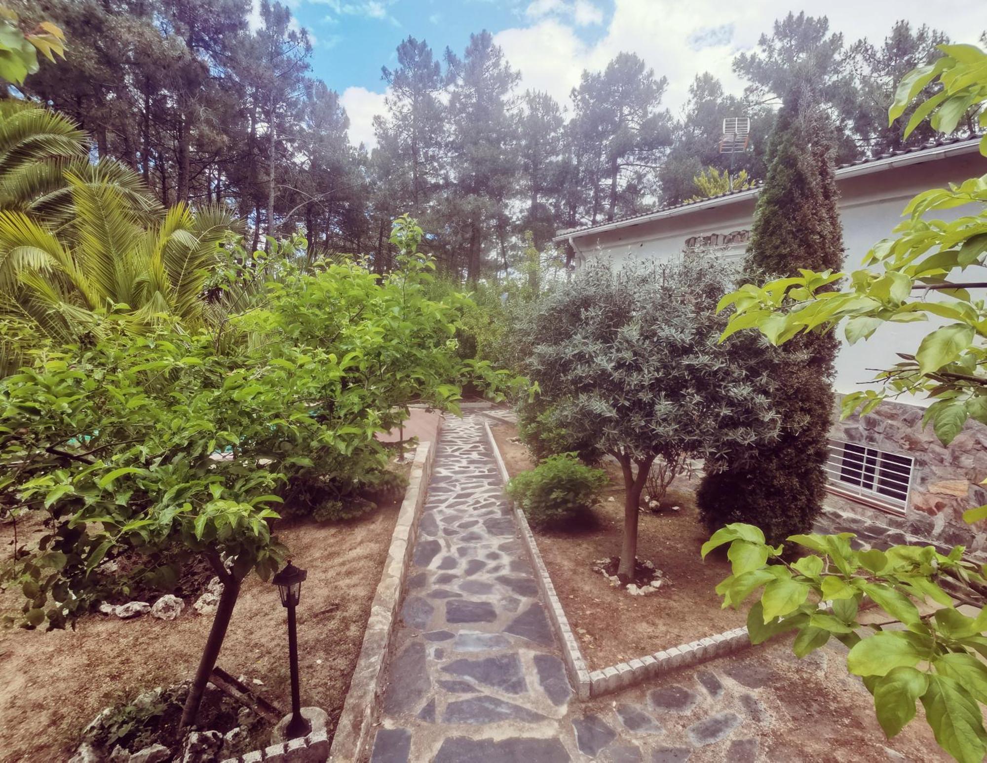 Bonita Casa En El Bosque - El Tiemblo Villa Kültér fotó